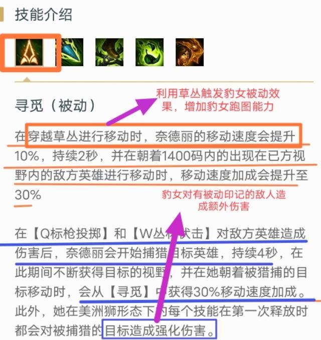 最新版lol豹女穿墻_豹女技能加點(diǎn)天賦裝備推薦_英雄聯(lián)盟10.10版本豹女攻略